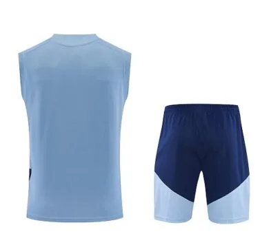 26-27 Bayern Sleeveless Training Kits Tracksuits Cheap Jersey Wholesale Yupoo